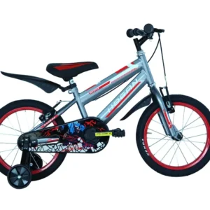 Masciaghi 16 "1v