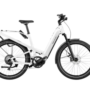 Riese & Muller Homage GT Touring